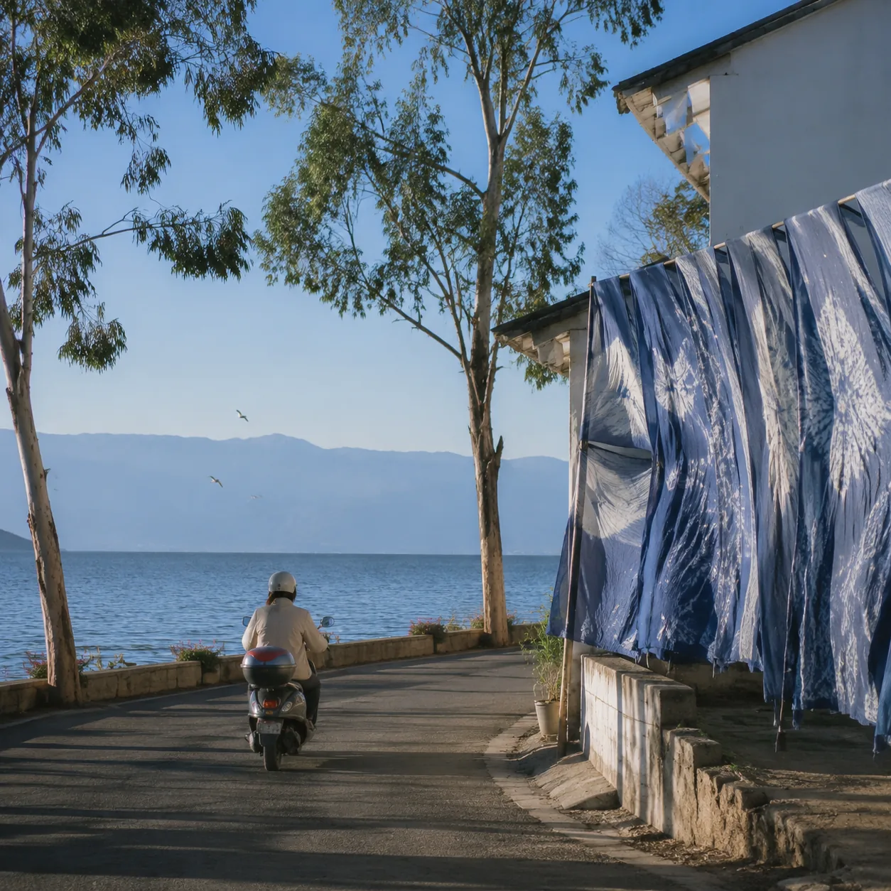 When the Wind Paused in Dali, I Finally Saw the Rhythm Beside Erhai