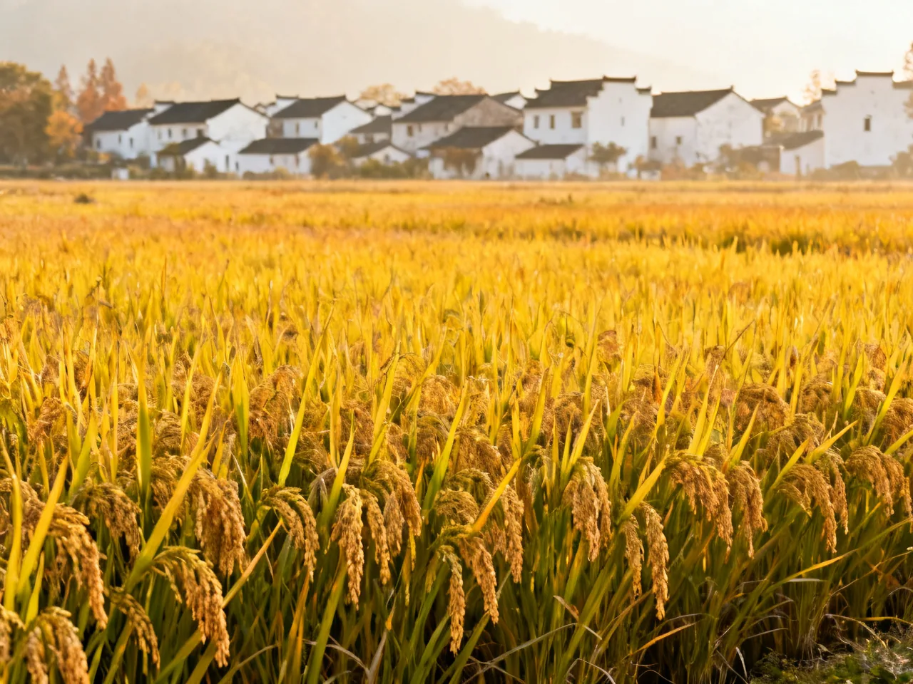 The 24 Solar Terms: China's Ancient Calendar Hidden in Plain Sight